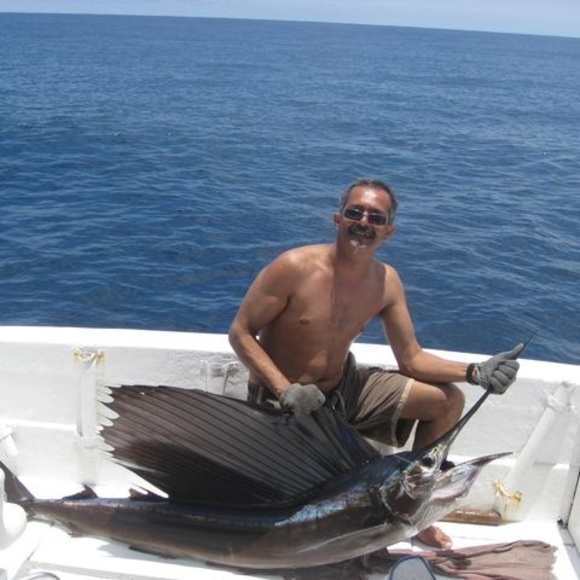 Meet your Posher, David - Picture 1 of 1